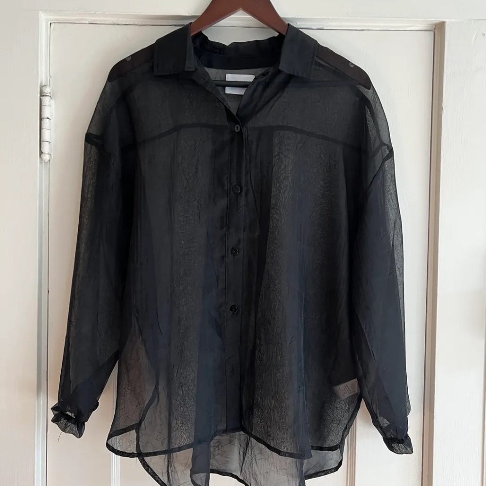 Things Between 'Sheer Black Button Down'